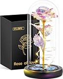 Otlonpe Glass Rose Flower, Womens Gifts for Christmas Valentines Day Mothers Day Teacher...